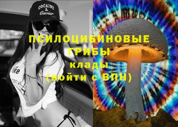 гидропоника Арсеньев
